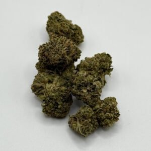 astro pink indica