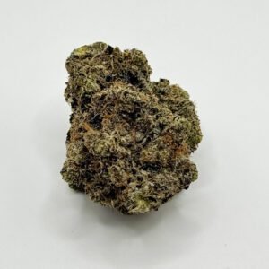 blue fin tuna indica