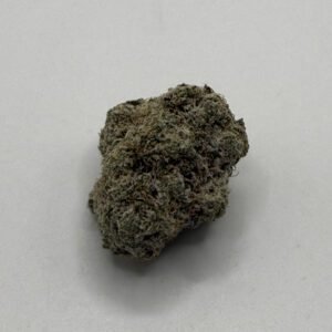 stardust caked cactus (sativa dom.)