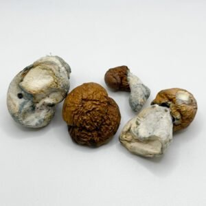 penis envy mushroom caps