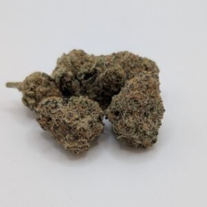 pink starburst hybrid