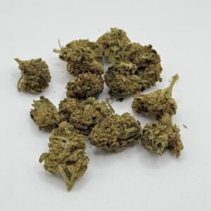 velvet hammer indica