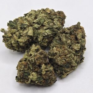 wild cherry sativa dom. hybrid