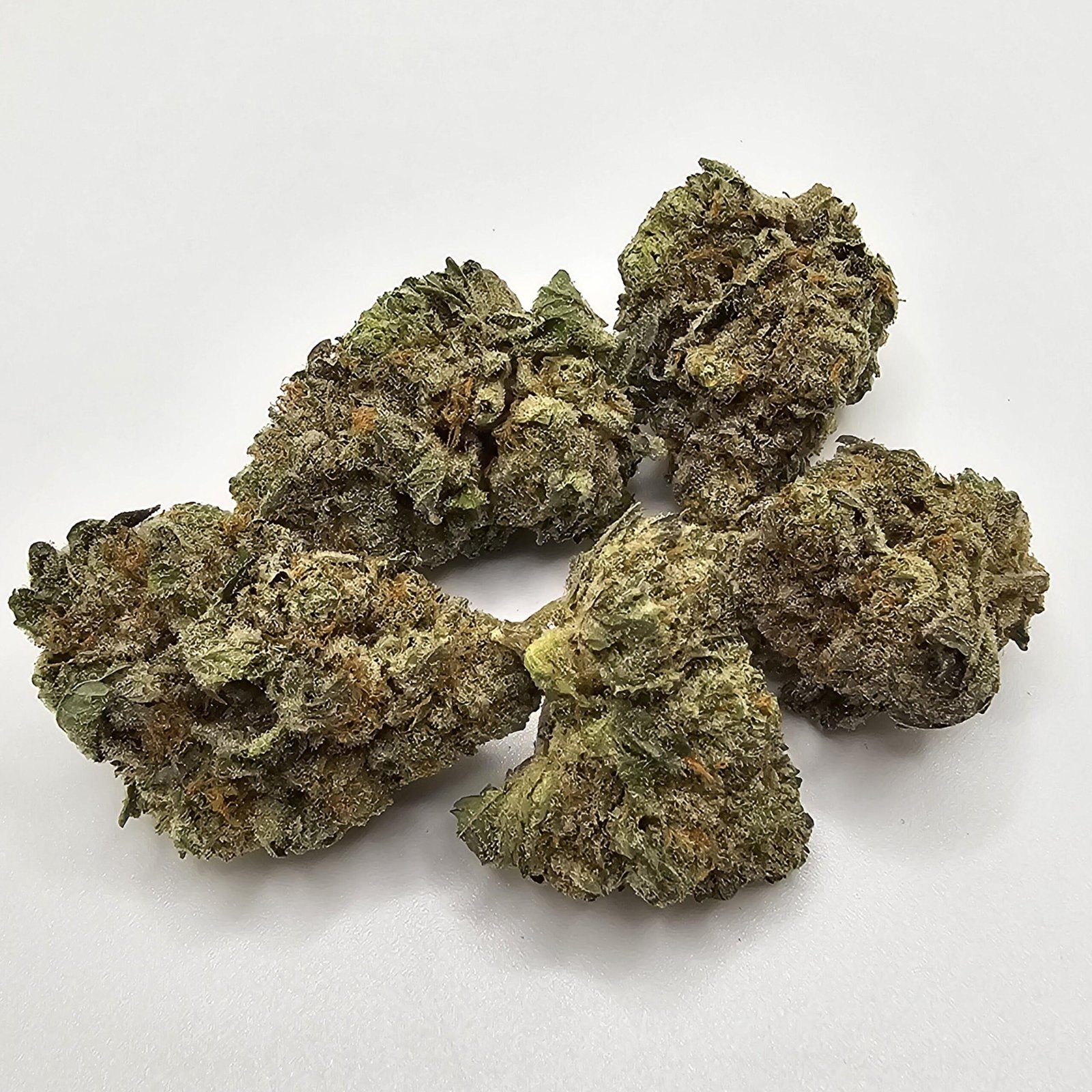 gmo kush indica dom. hybrid gmo kush indica dom. hybrid