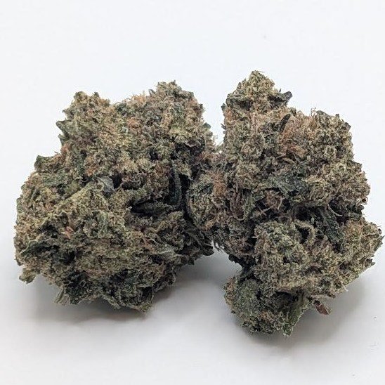 platinum rockstar indica dom. hybrid platinum rockstar indica dom. hybrid