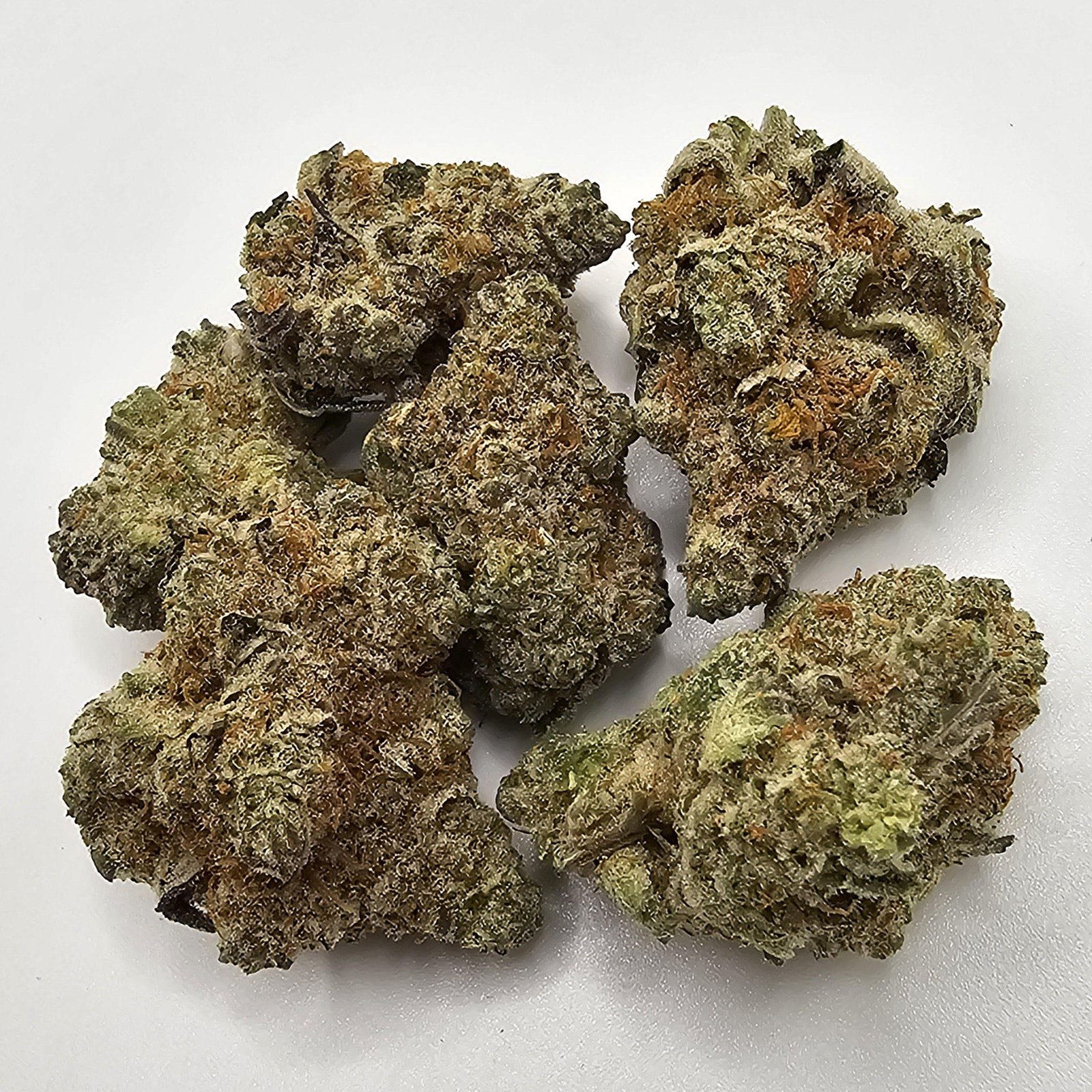 purple punch indica dom. hybrid purple punch indica dom. hybrid