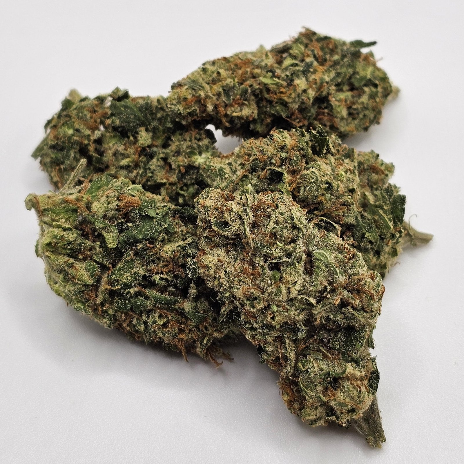 sour tangie sativa sour tangie sativa