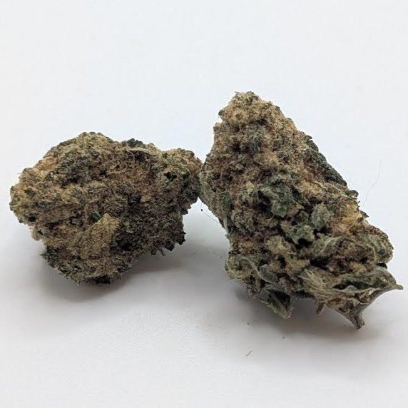 space queen indica space queen indica