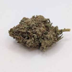 Flower freeze land indica