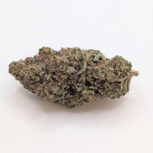 Flower blueberry yum yum hybrid
