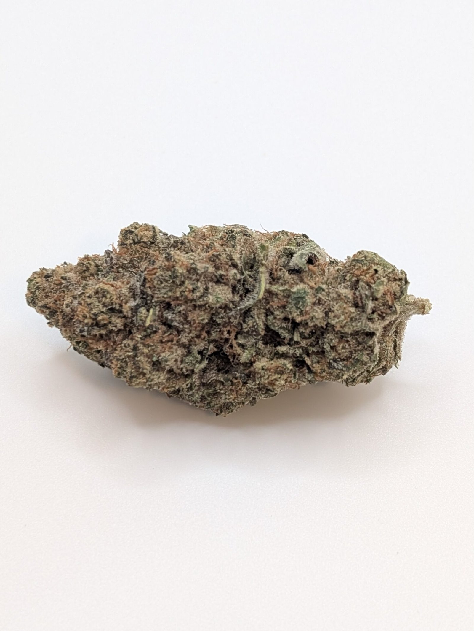 img_1294 blueberry yum yum hybrid