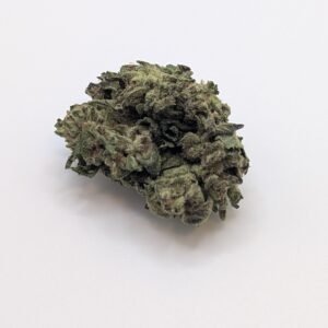 Flower img 1288